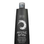 BES Color Reflection Shampoo Artic Grey 300ml - Šampon na přípravu studeného tónovaní