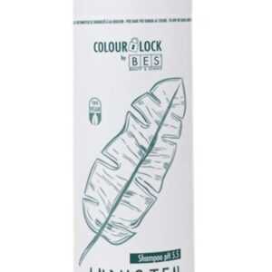 BES Colour Lock Amphoten Shampoo New 300ml - Speciální šampon pro barvené vlasy