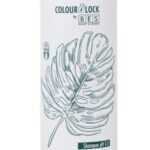 BES Colour Lock Clarifying Shampoo New 300ml -  Čistící šampon