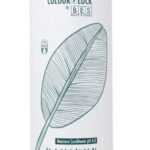 BES Colour Lock Maximum Moisture New 1000ml - Hydratační kondicionér