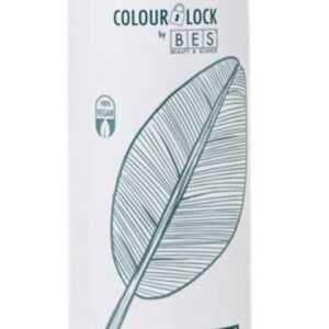 BES Colour Lock Maximum Moisture New 300ml - Hydratační kondicionér