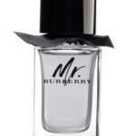 Burberry Mr. Burberry - EDT 50 ml