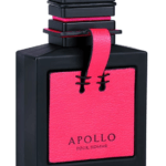 Flavia Apollo Man - EDP 100 ml