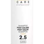 Gestil Care 2.5 Post Color Shampoo 250ml - Šampon na barvené vlasy