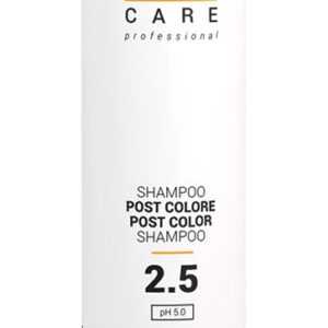 Gestil Care 2.5 Post Color Shampoo 250ml - Šampon na barvené vlasy