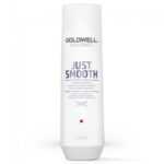 Goldwell Dualsenses Just Smooth Taming Shampoo 250ml - Šampon pro krepaté vlasy