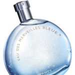 Hermes Eau Des Merveilles Bleue - EDT 50 ml
