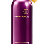 Montale Aoud Greedy - EDP - TESTER 100 ml