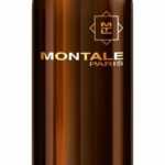 Montale Aoud Safran - EDP - TESTER 100 ml