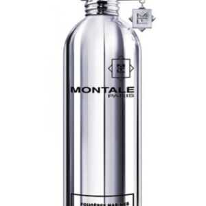 Montale Fougeres Marines - EDP - TESTER 100 ml