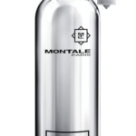 Montale Ginger Musk - EDP - TESTER 100 ml