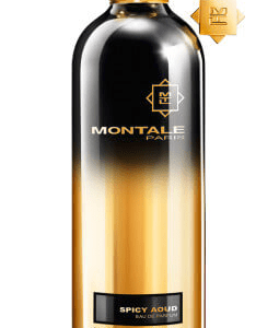 Montale Spicy Aoud - EDP 100 ml